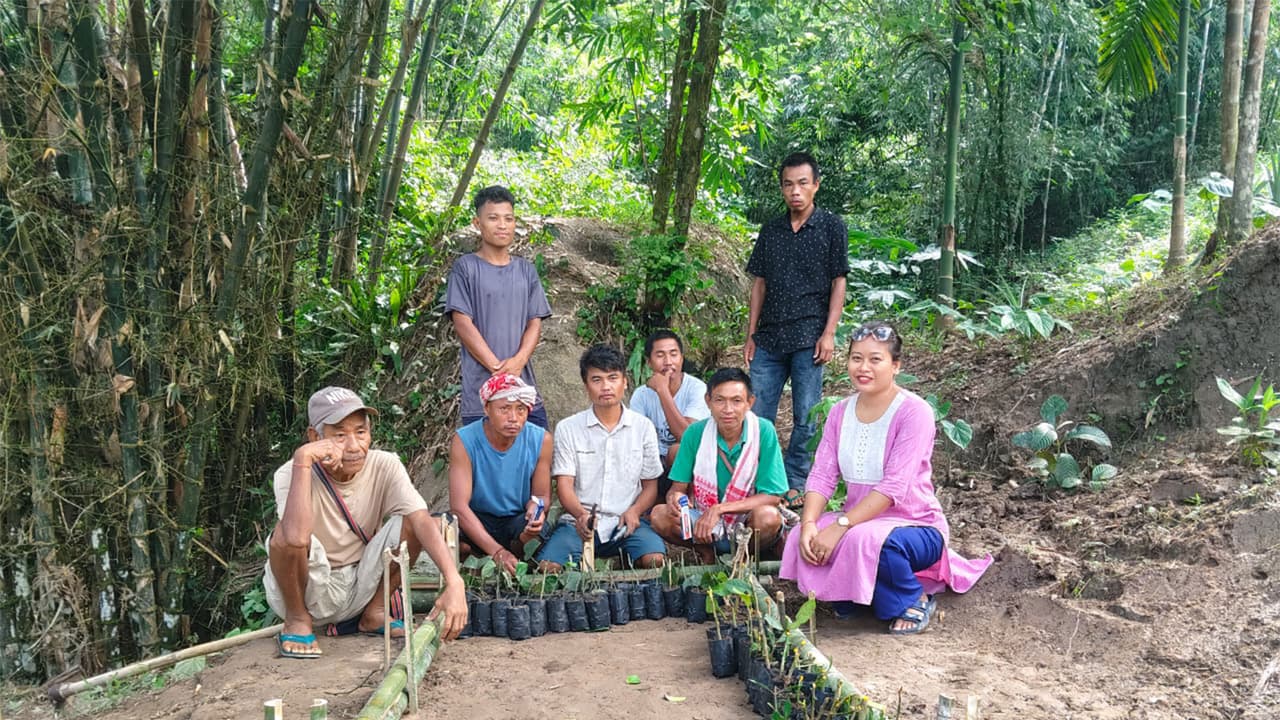 Aaranyak trains Assam farmers in lemon, pepper cutting propagation