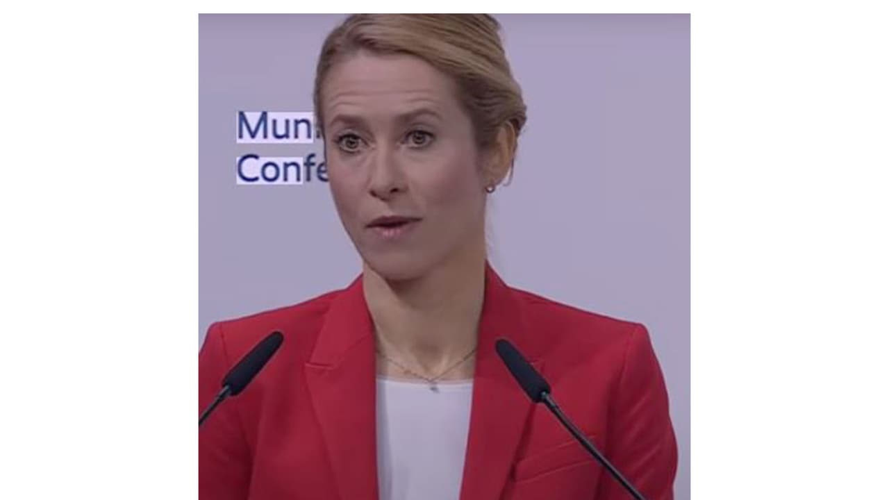 EU expanding global security footprint beyond trade, says Kaja Kallas