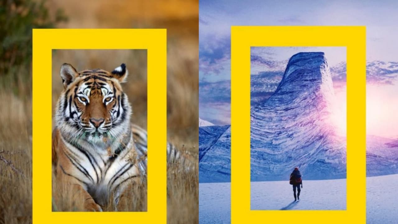 National Geographic marks 138th anniversary with wonder-sparking stories