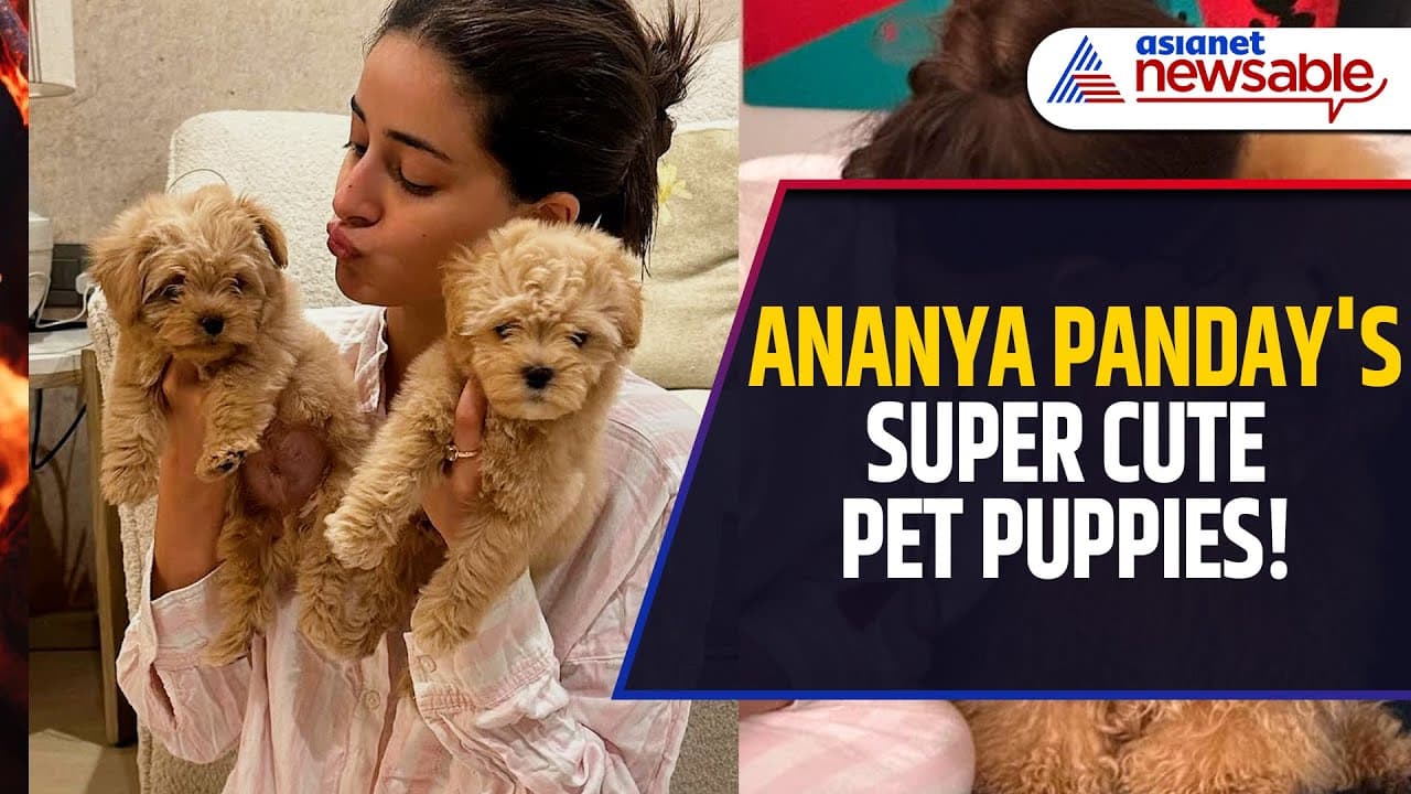 Puppy Love! Ananya Panday's Adorable Pics with PET DOGS | Asianet Newsable