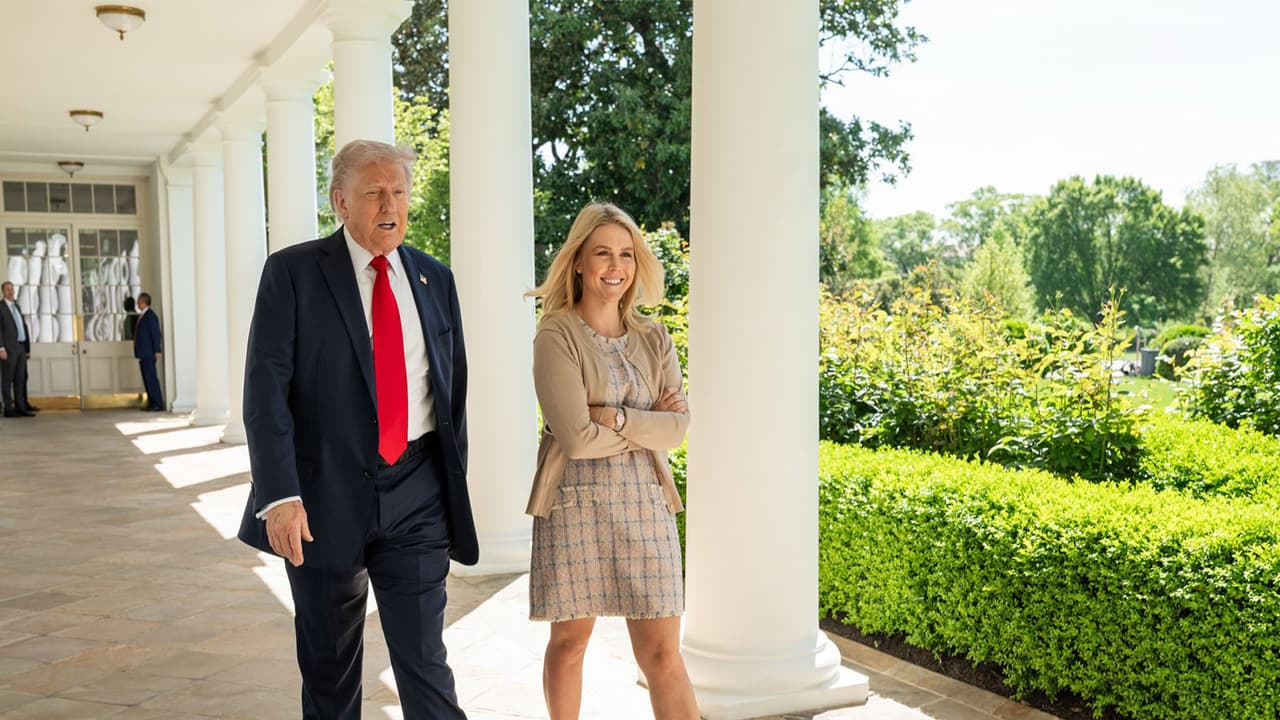 Trump hints at Fox News' Alexis McAdams for Press Secretary role