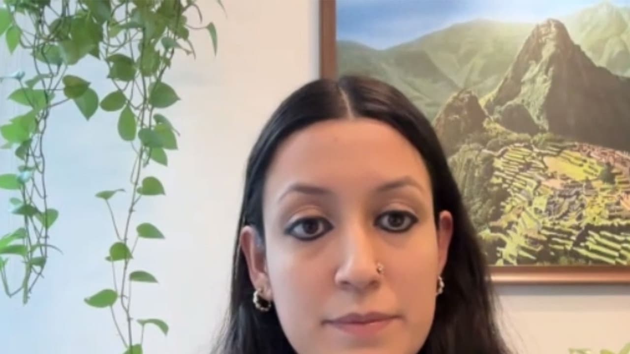 India's Critical Minerals Mission strong but slow, needs faster reviews