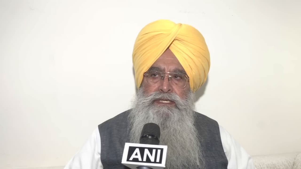 Punjab: Untimely Rains Damage Crops Across 1.3 Lakh Acres, Says Min