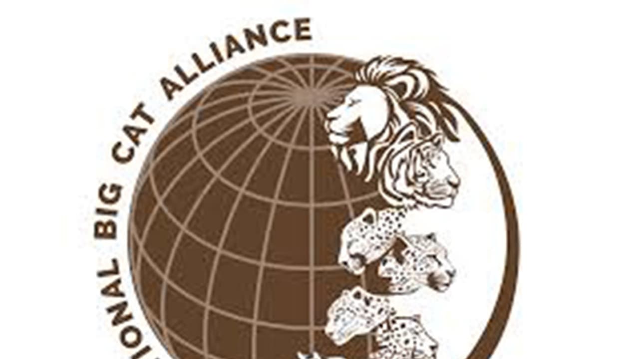 Saudi Arabia to join India-led Big Cat Alliance as its 26th member
