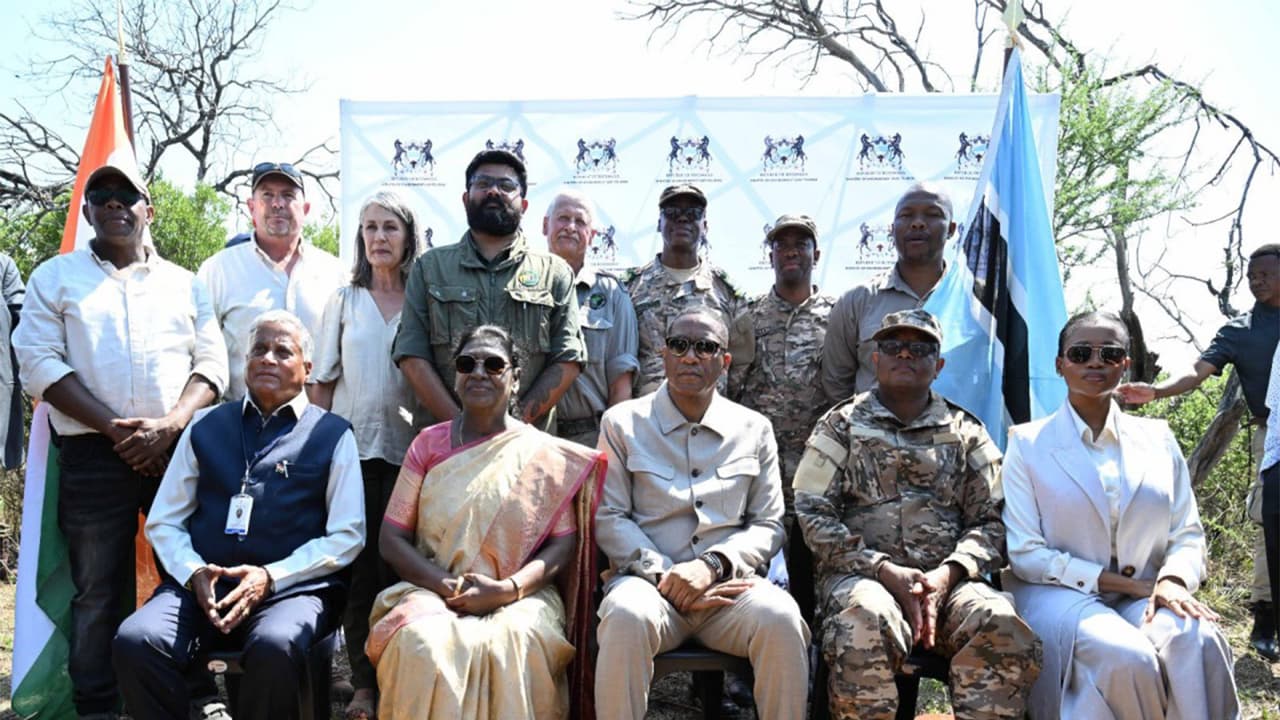 Project Cheetah: Botswana formally hands over 8 cheetahs to India