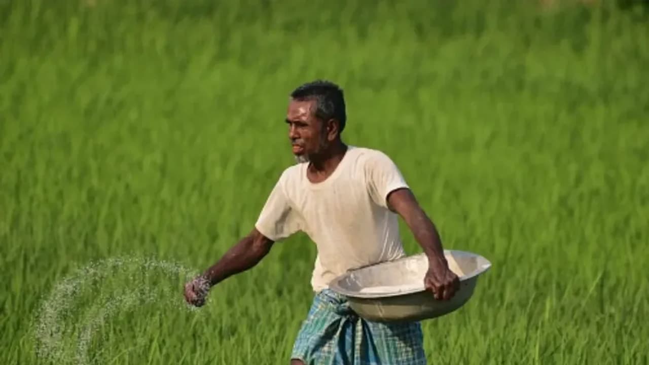 India, China Are Reportedly Poised For A Trade Reset On Rare Earths, Fertilizers, Pharma Amid US Tariff Strain