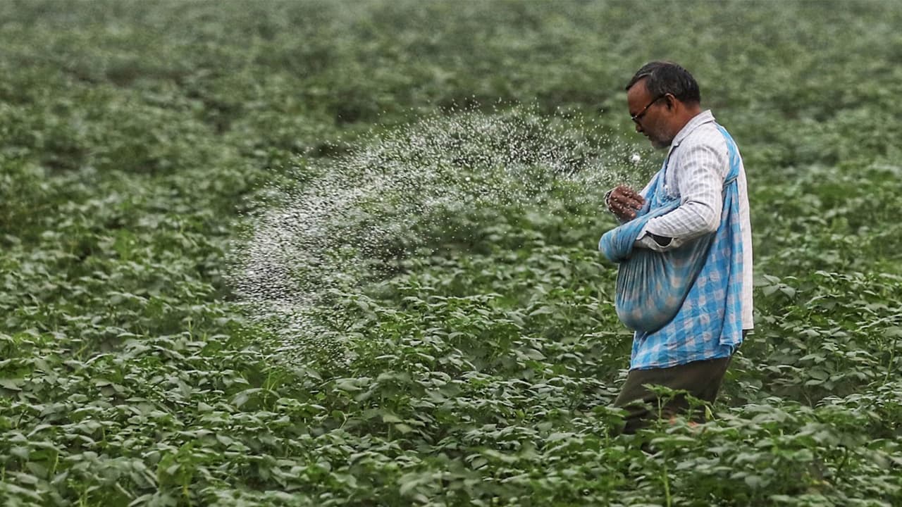 India manages fertiliser impact amid West Asia shipping disruptions