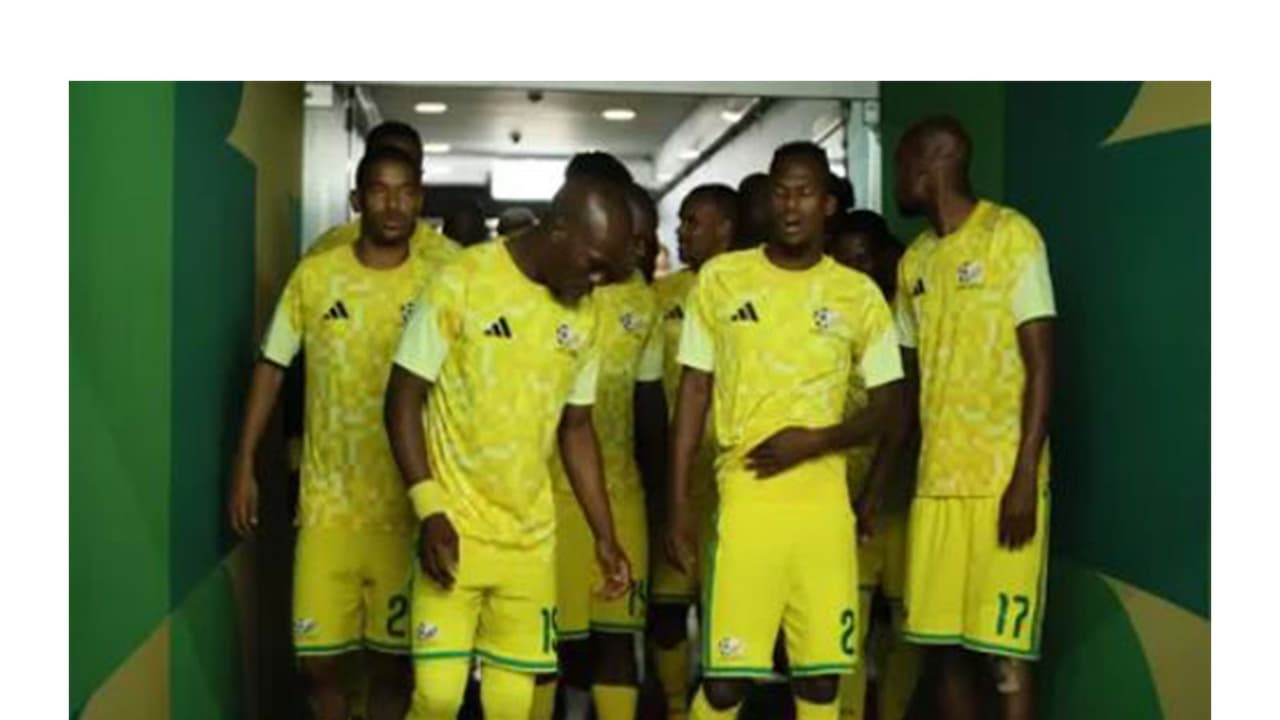FIFA WC: Maseko's goal sends South Africa into knockouts for first time