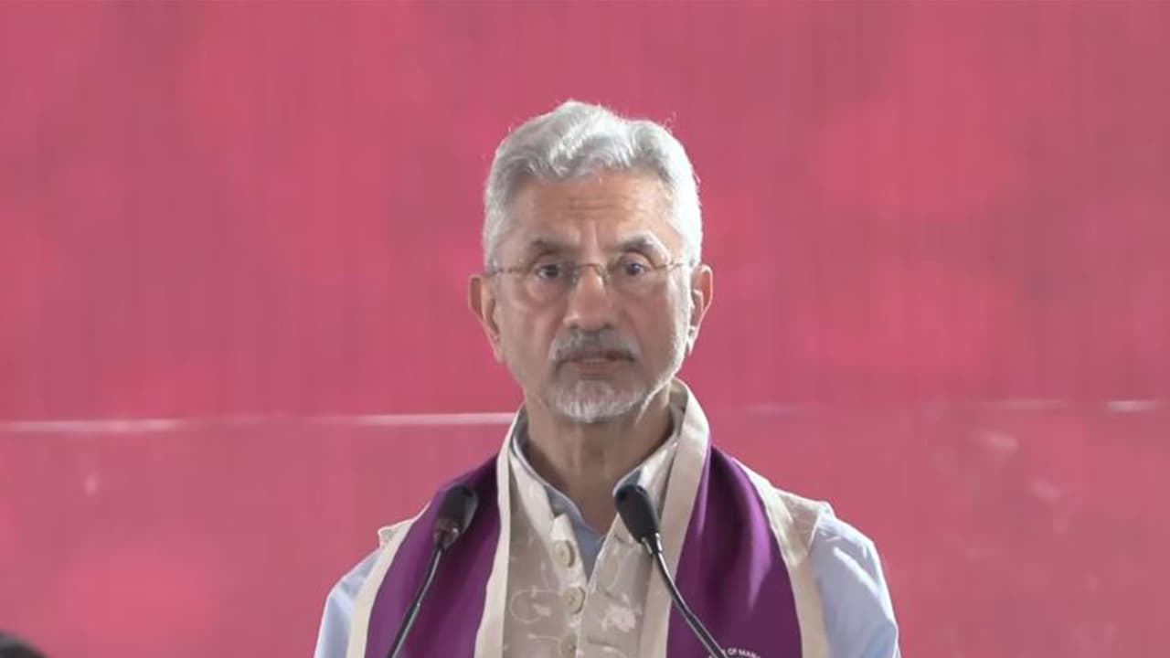India came through global shocks solidly, must hedge: S Jaishankar