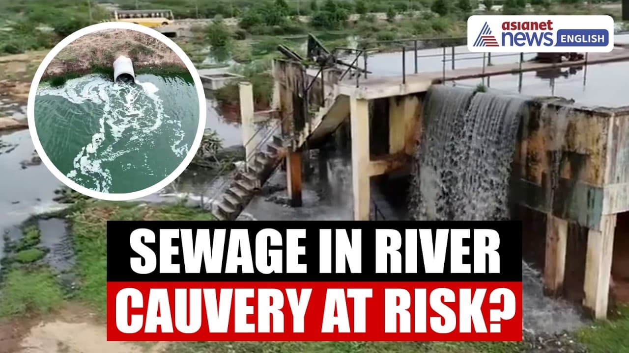 Tamil Nadu Sewage SHOCK! Untreated Wastewater Enters Koraiyar River? | Cauvery Pollution