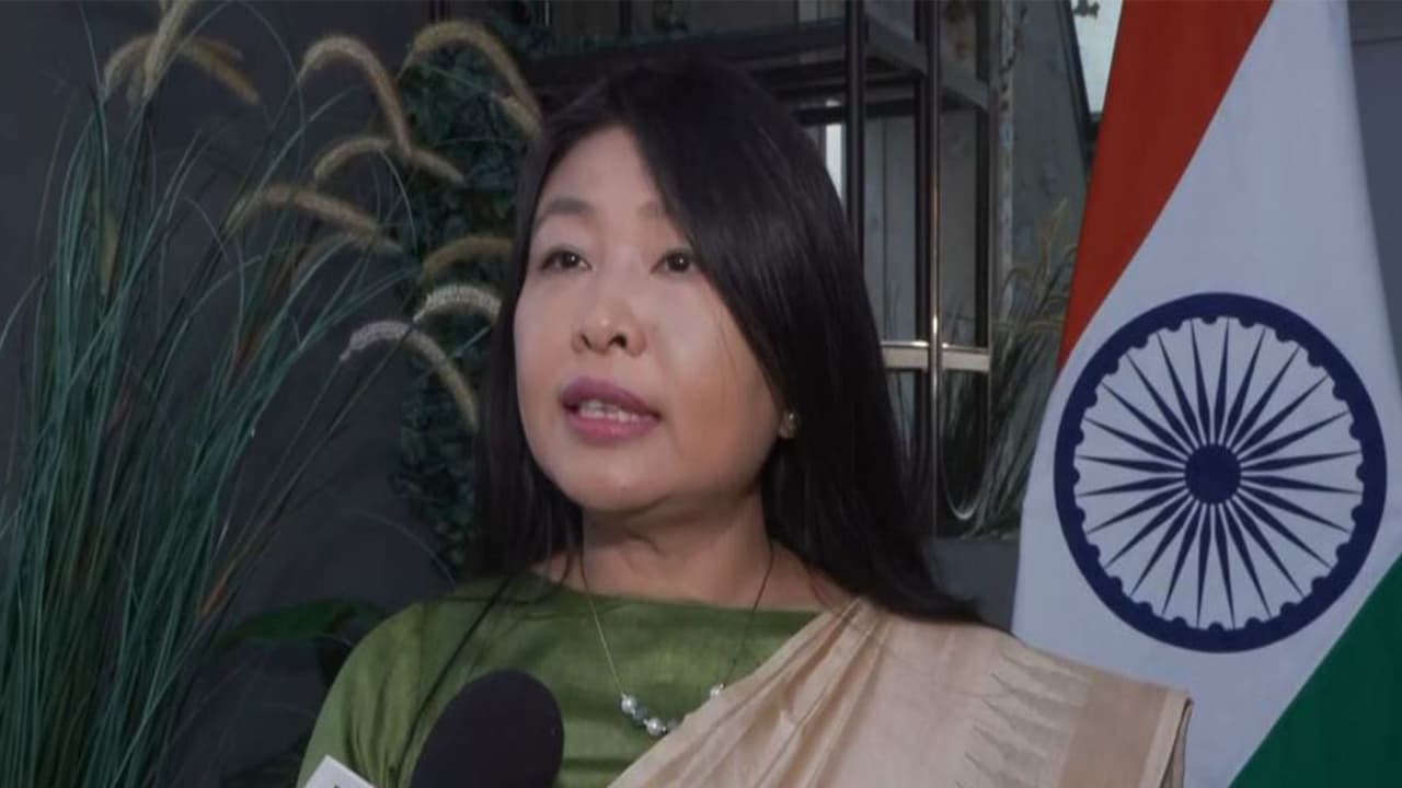 India, Norway share 'huge potential' for cooperation: Envoy Gangte