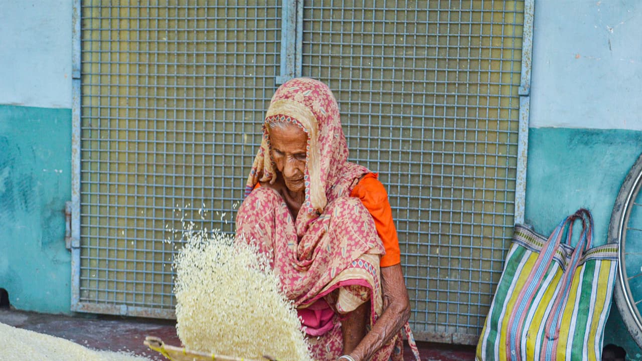 India's first Basmati organic training farm to come up in Pilibhit