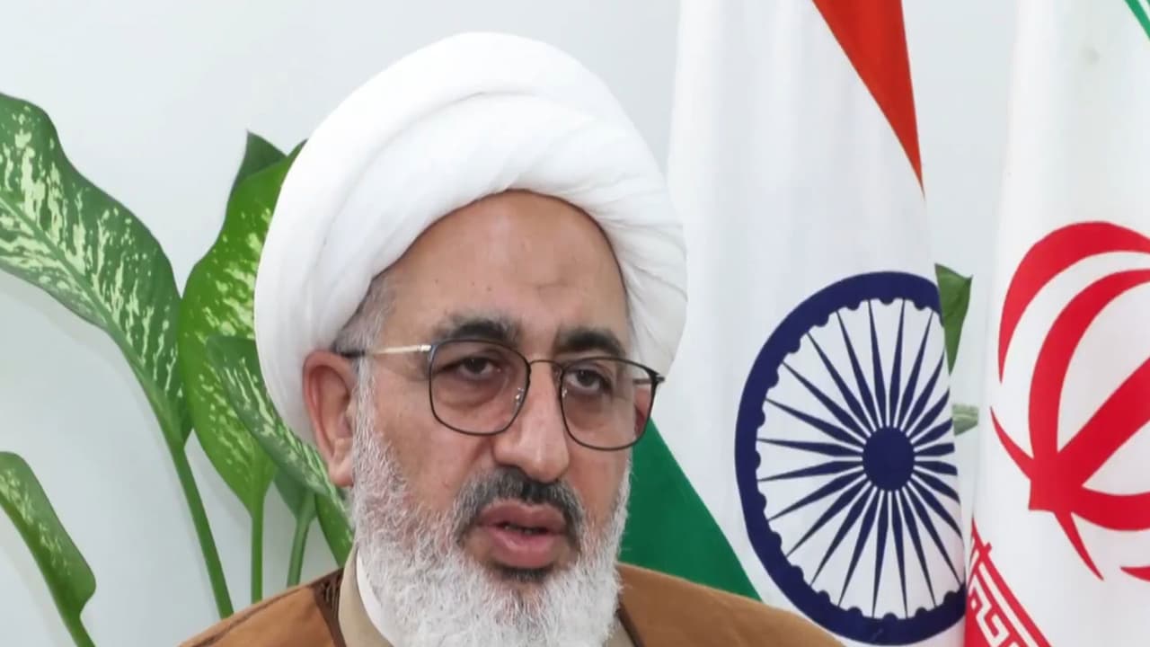 Iran never wanted nuclear weapons because it is 'haram', says envoy