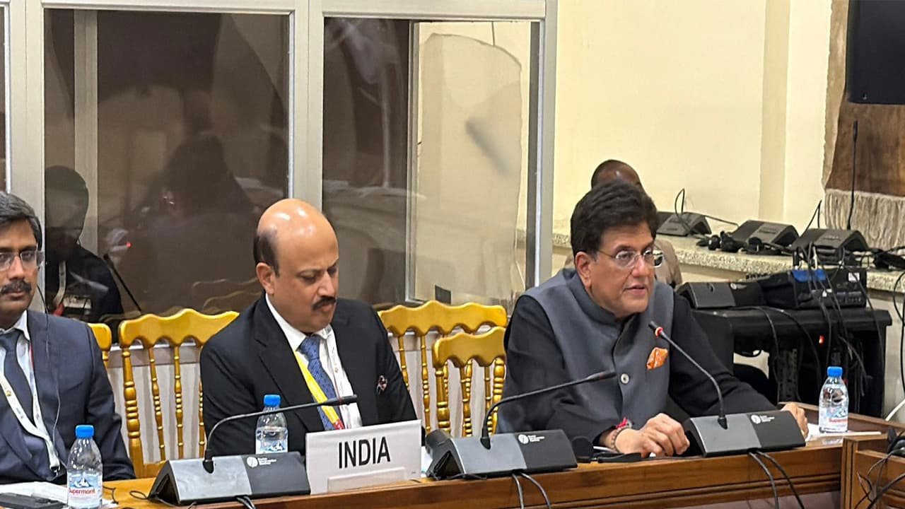 Piyush Goyal, African nations discuss expanding trade, investment at WTO