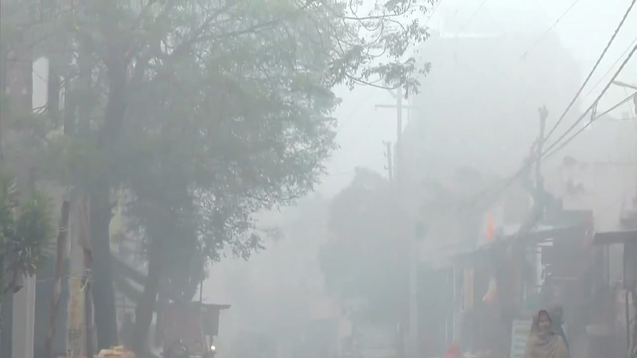 Delhi grapples with 'severe' AQI, GRAP 4 as cold wave hits North