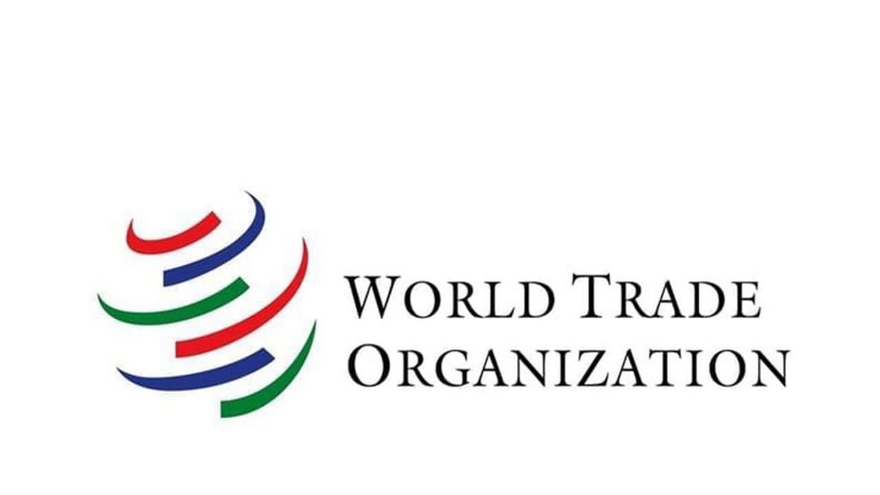 WTO's Future Under Scrutiny at CTIL-SAIELN Virtual Trade Talk
