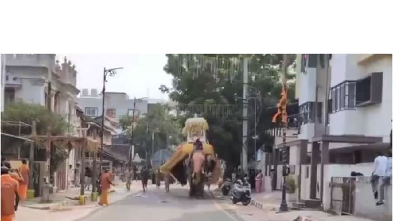 Shivamogga Dasara turns chaotic as elephant carrying idol runs amok ...