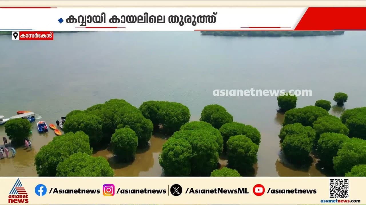സഞ്ചാരികളെ ഇതിലേ ഇതിലേ...; സഞ്ചാരികളുടെ ഇഷ്ടയിടമായി കവ്വായി കായൽ