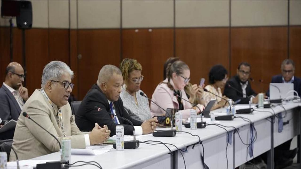 India Pledges Solar Support for Island Nations at CoP30 in Brazil