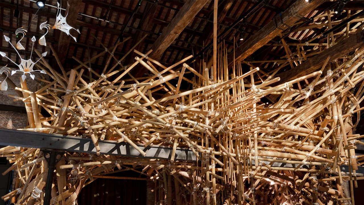 India's Venice Biennale Pavilion wows with 'Remembering Home' exhibit