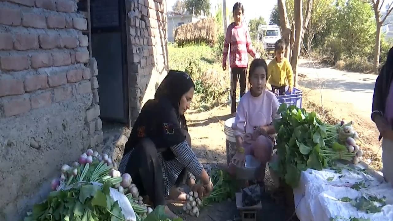 Rajouri: 50+ farmer families prosper with 100% organic farming