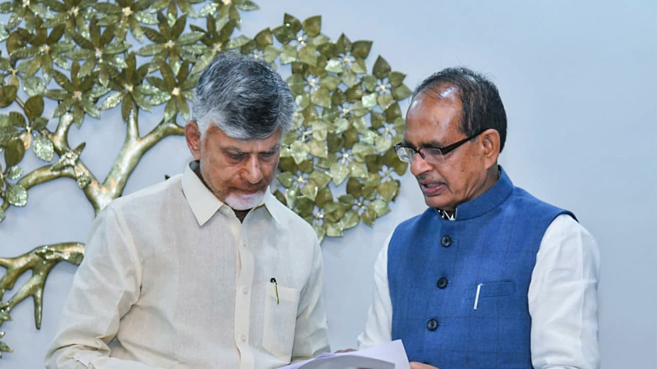 Andhra CM Naidu meets Union Minister, pushes for organic farming funds