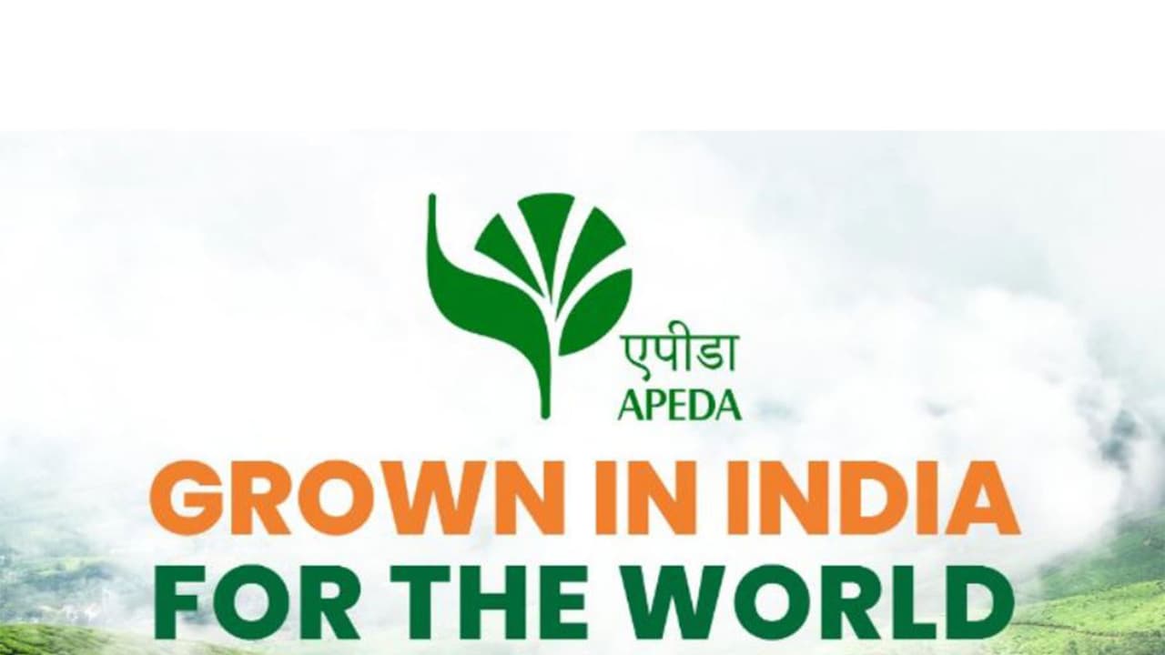 Assam's GI-tagged Joha rice makes its debut in UK, Italy markets