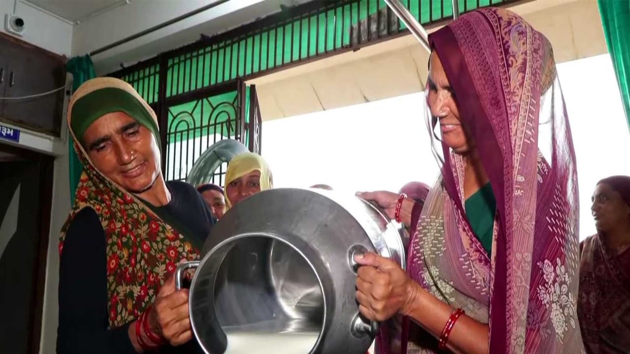 Gujarat's dairy economy: Women's participation, leadership on the rise