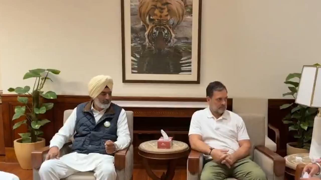 PM Modi 'betrayed' India's farmers with US trade deal: Rahul Gandhi