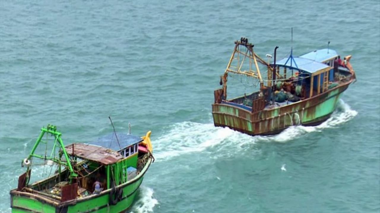 India's fisheries sector boom: Govt's ₹39,272 cr investment pays off