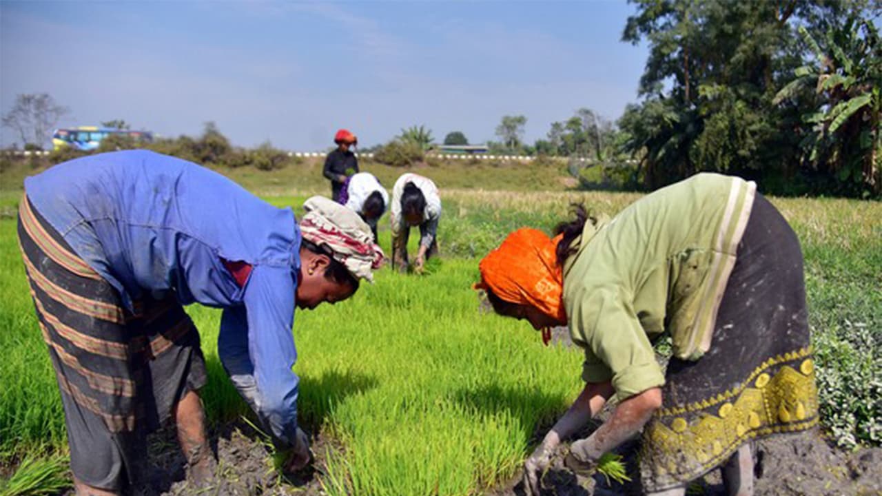 Govt boosts farmer support via digital Kisan Credit Cards, RBI rules