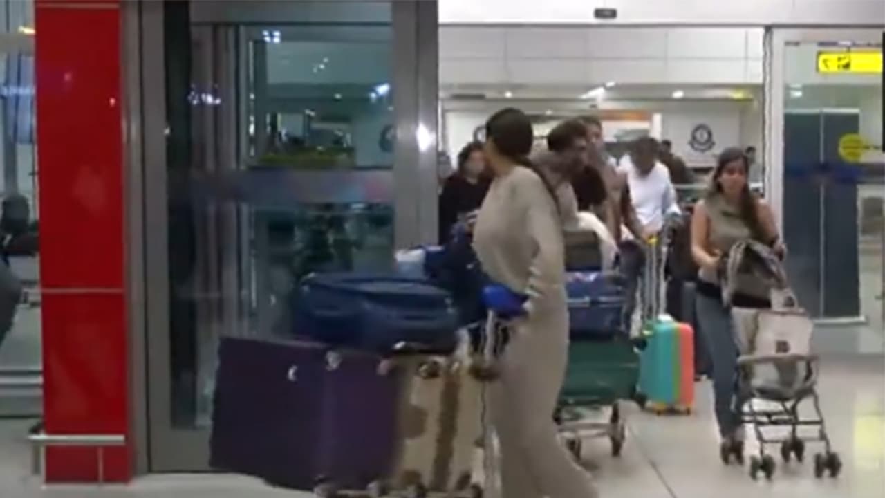 Delhi Airport clarifies on community dogs, urges visitors not to feed