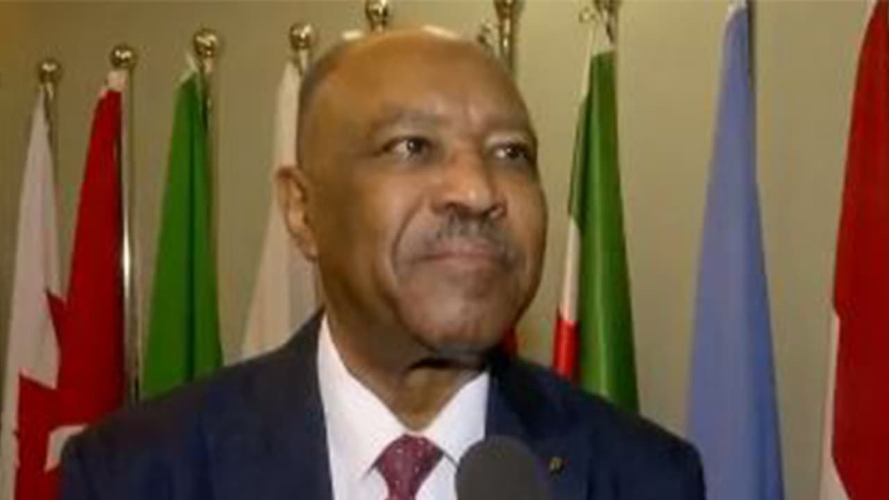 Sudan's FM in India for Arab summit, seeks reconstruction investment