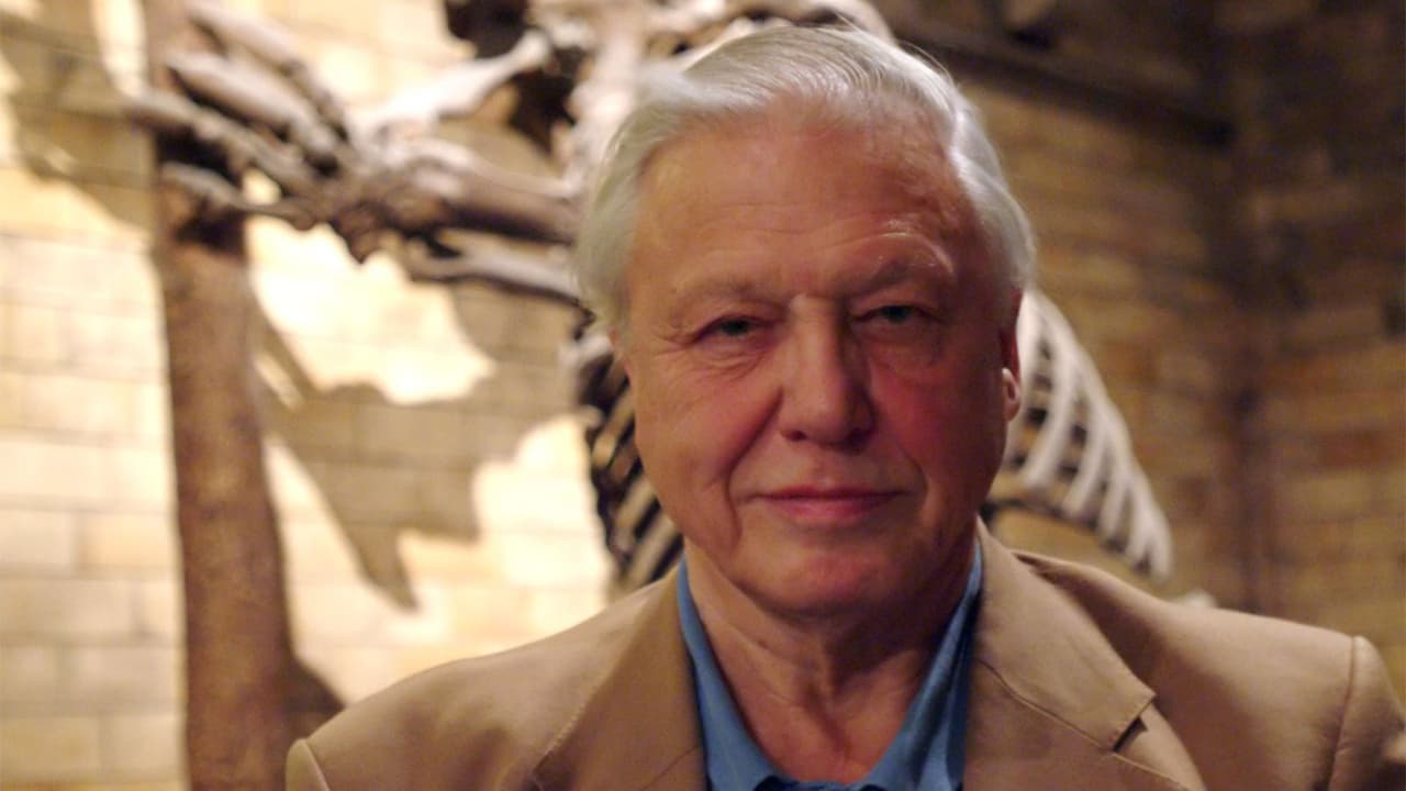 David Attenborough gets a wasp named after him on his 100th birthday