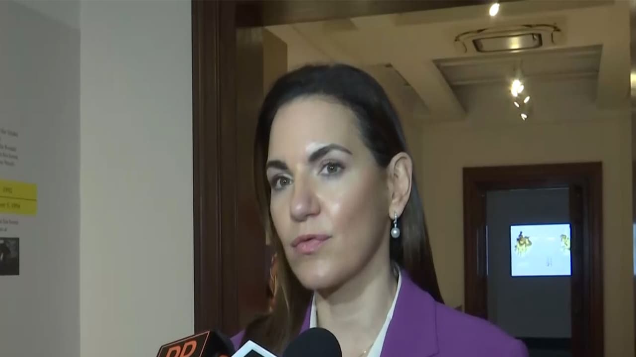 Ghika exhibit at NGMA a big honour for Greek culture: Olga Kefalogianni