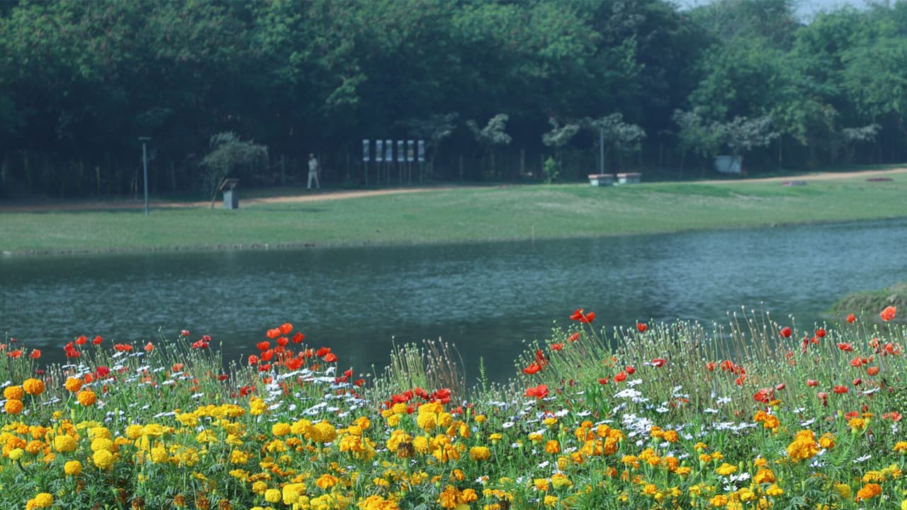 Delhi's Asita Park opens for public booking of its lush green lawns