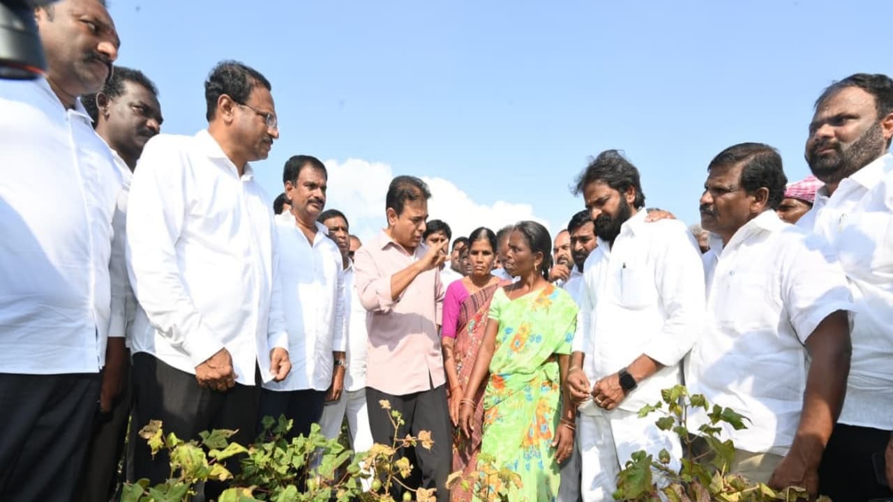 KTR inspects dried-up crops, interacts with farmers in Telangana
