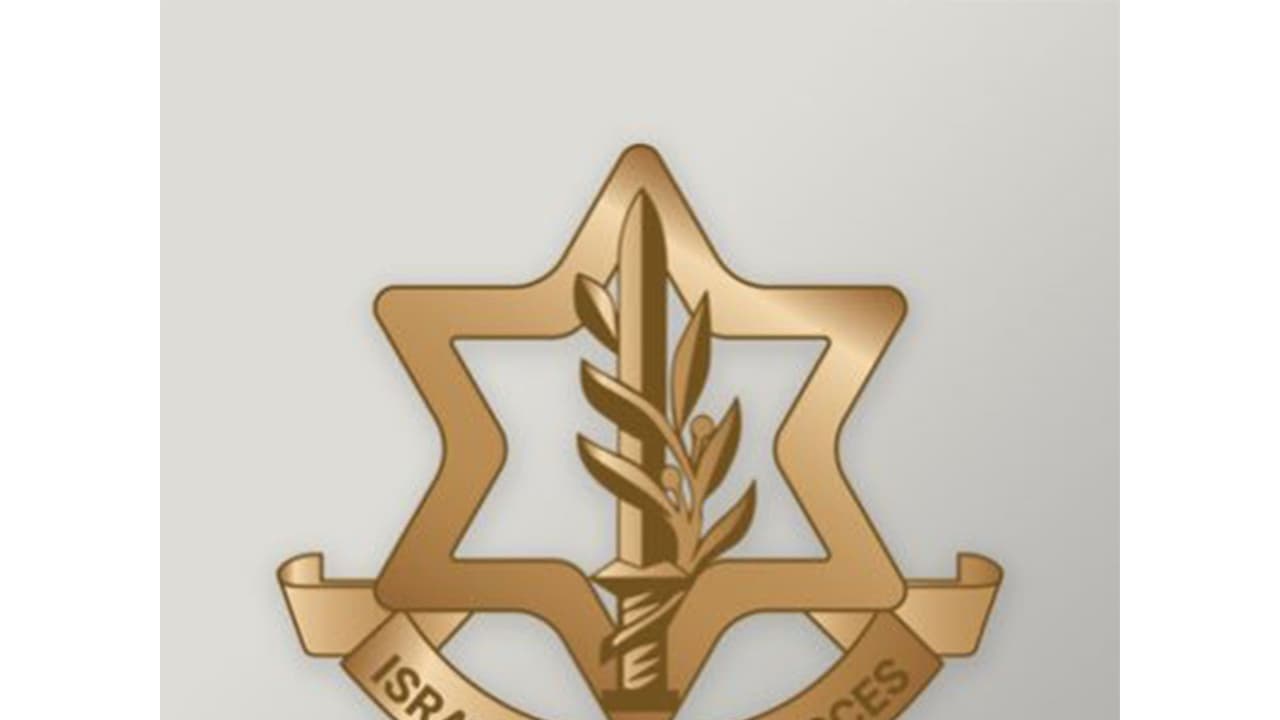 IDF eliminates Hezbollah terrorist in southern Lebanon, cites violation