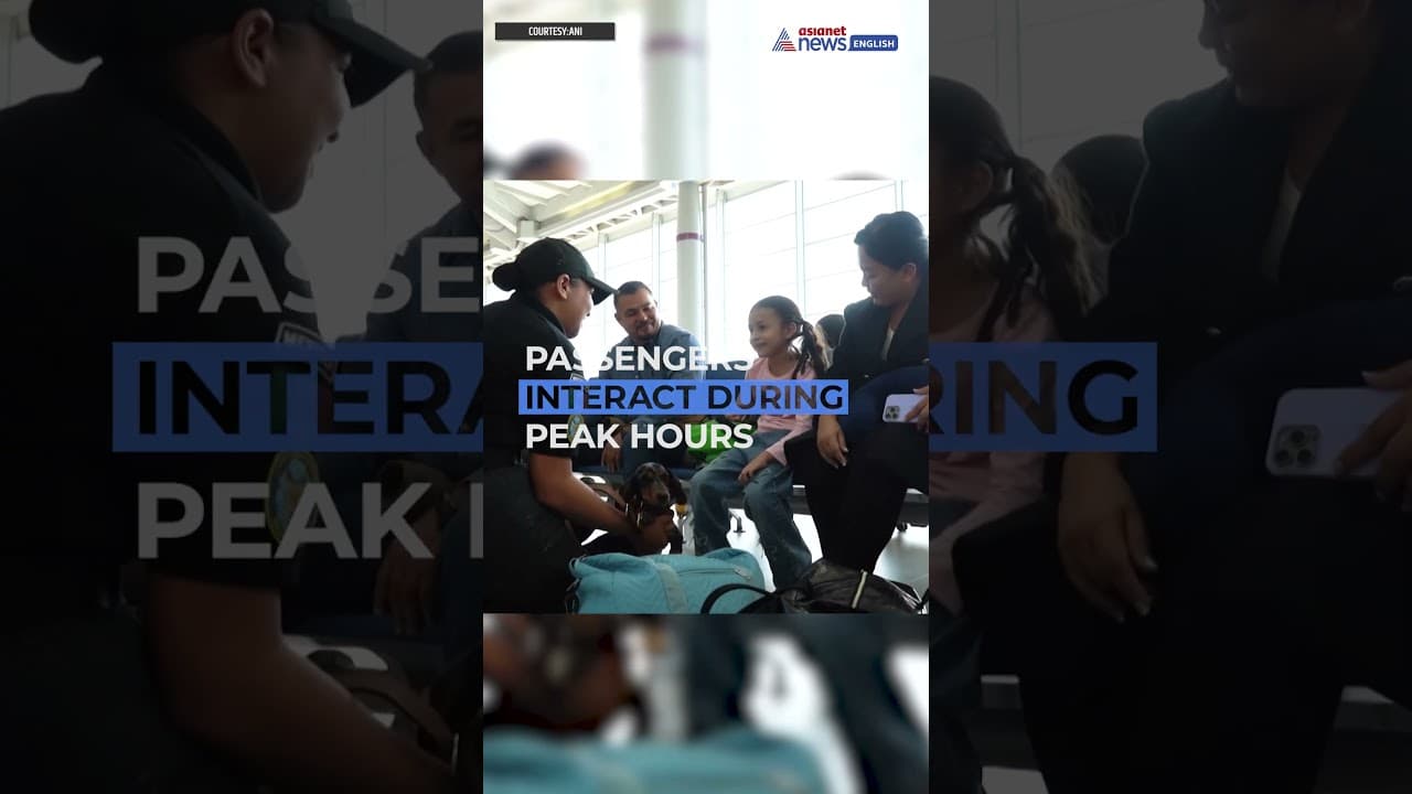 Mexico Airport | Emotional Support Dogs Comfort Stressed Travellers