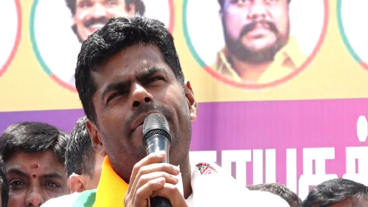 TN Polls: Annamalai slams DMK, claims only 15% promises fulfilled