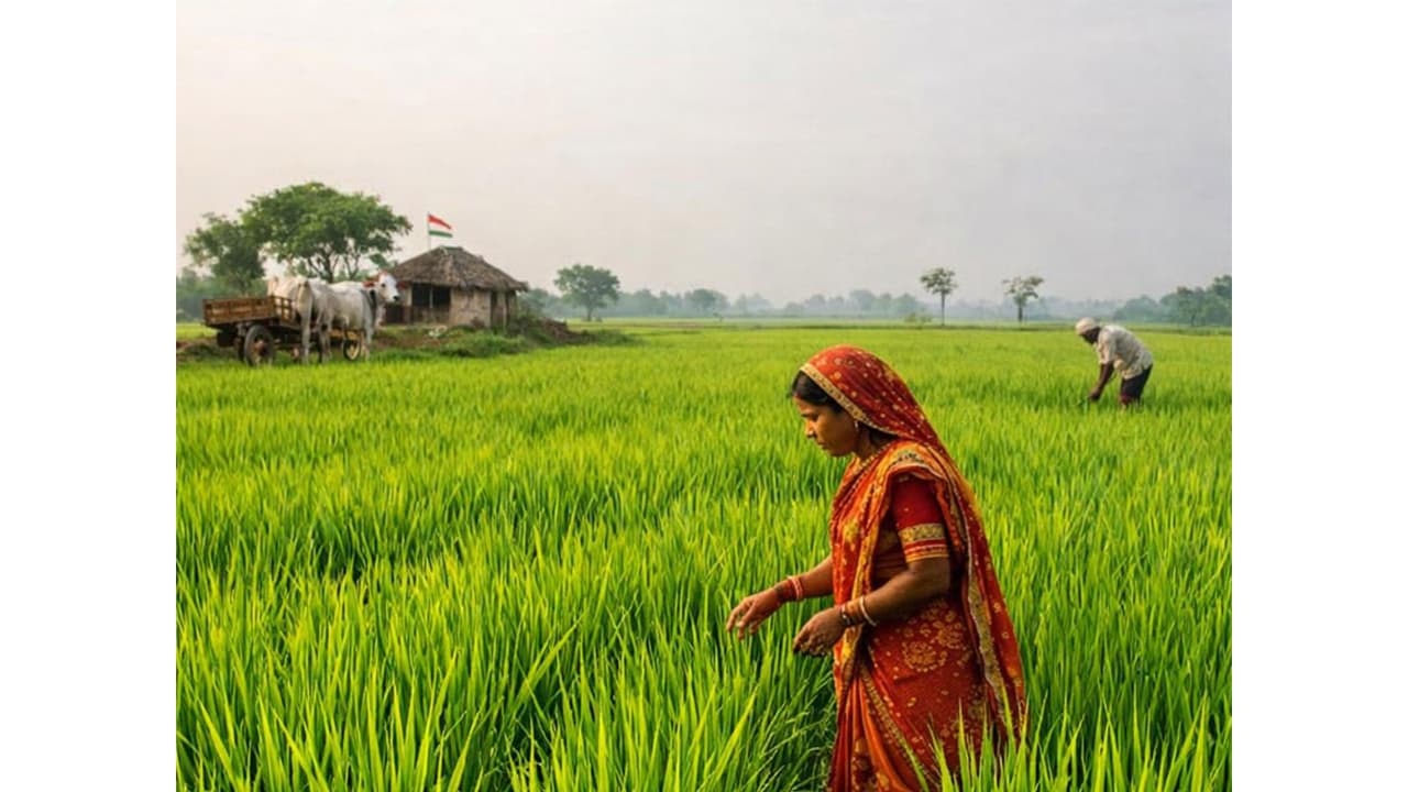 Rajasthan to host roadshows for Global Rajasthan Agritech Meet 2026