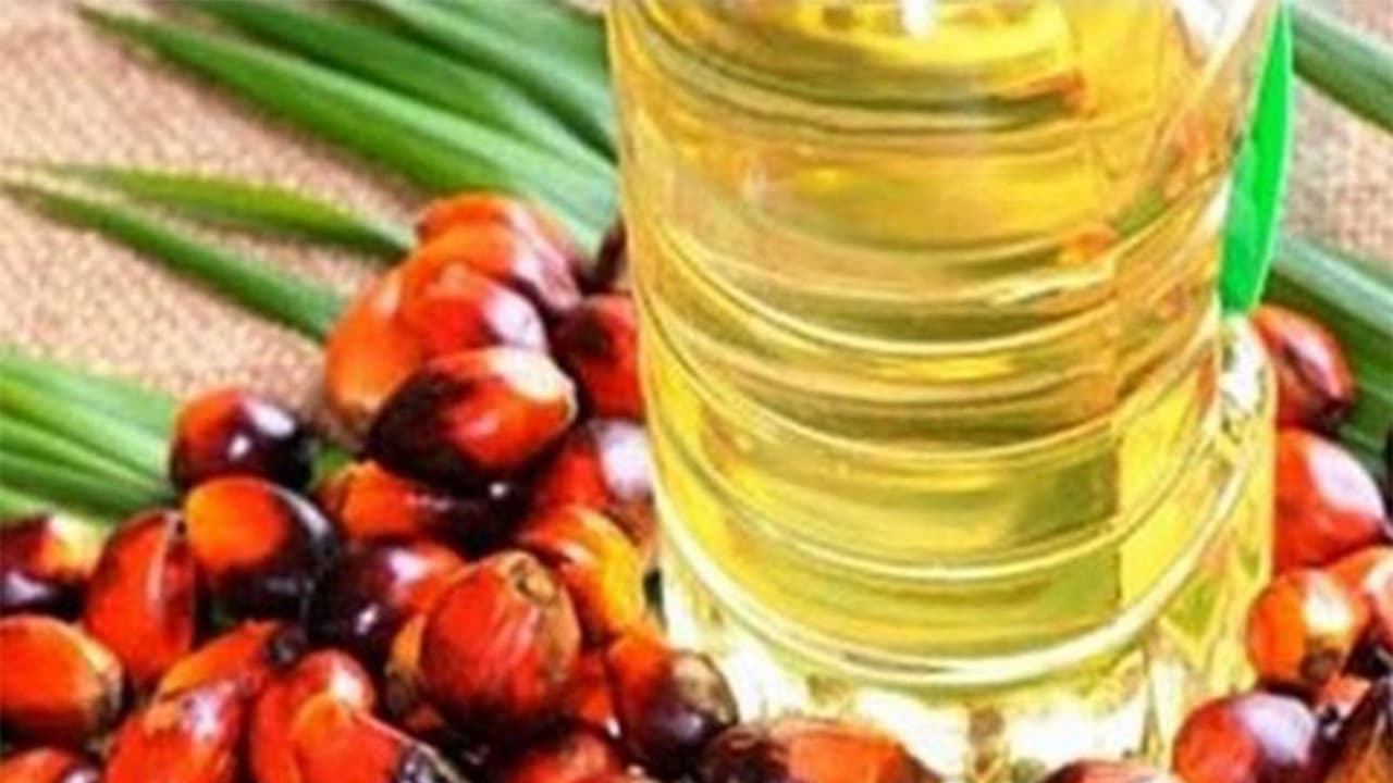India's edible oil imports shift to supply-driven model: IVPA report