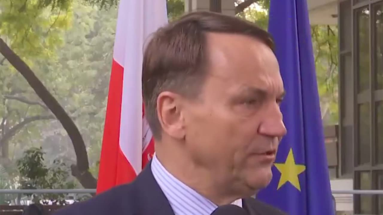 Poland seeks new trade partners like India amid increased tariffs: PM