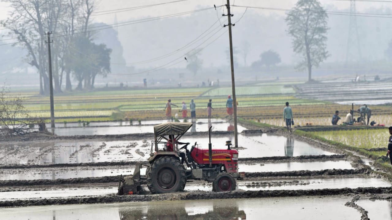 India's Tractor Industry to See Flat Growth in FY27: YES Securities