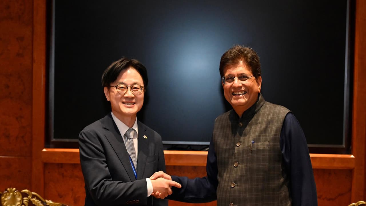 India, South Korea discuss balanced trade, boosting Korean investment
