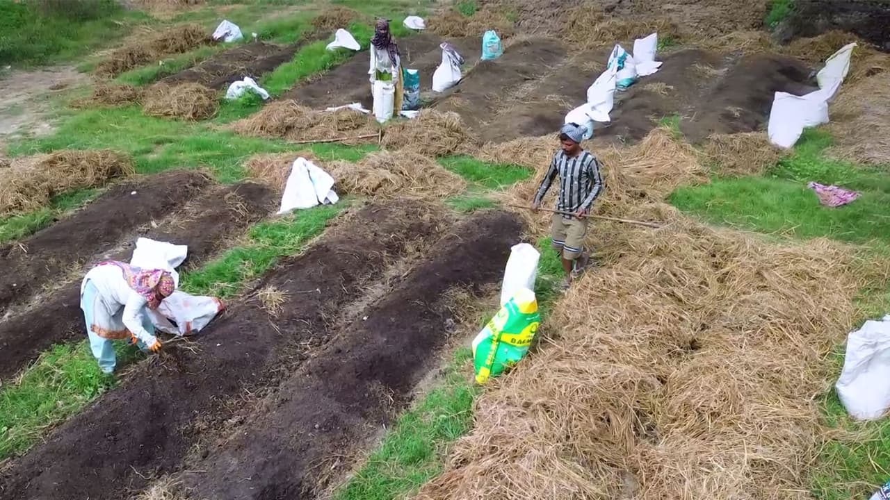 Hapur's high-tech farms: Turning soil into gold with innovation