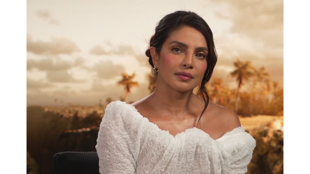Priyanka Chopra on global success: 'You can't sit on your laurels'