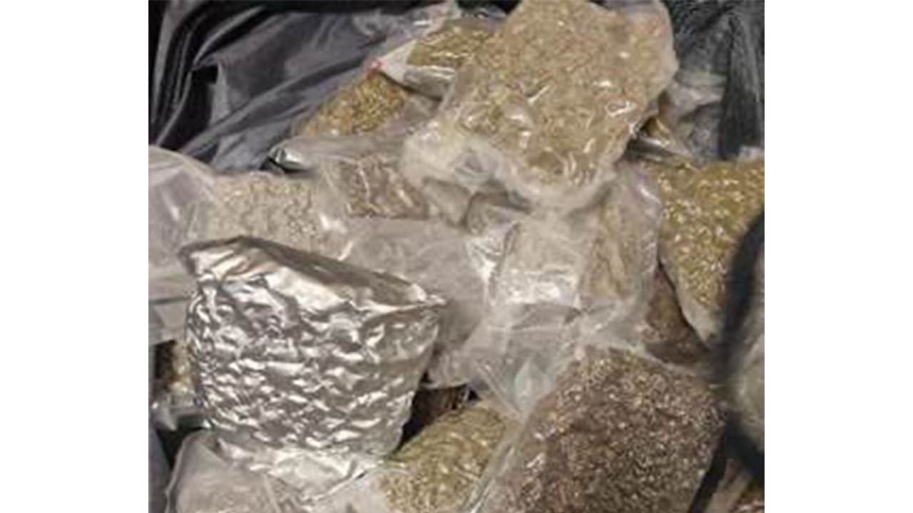 Bengaluru: Rs 6.5 crore hydroponic cannabis seized at airport; 2 held