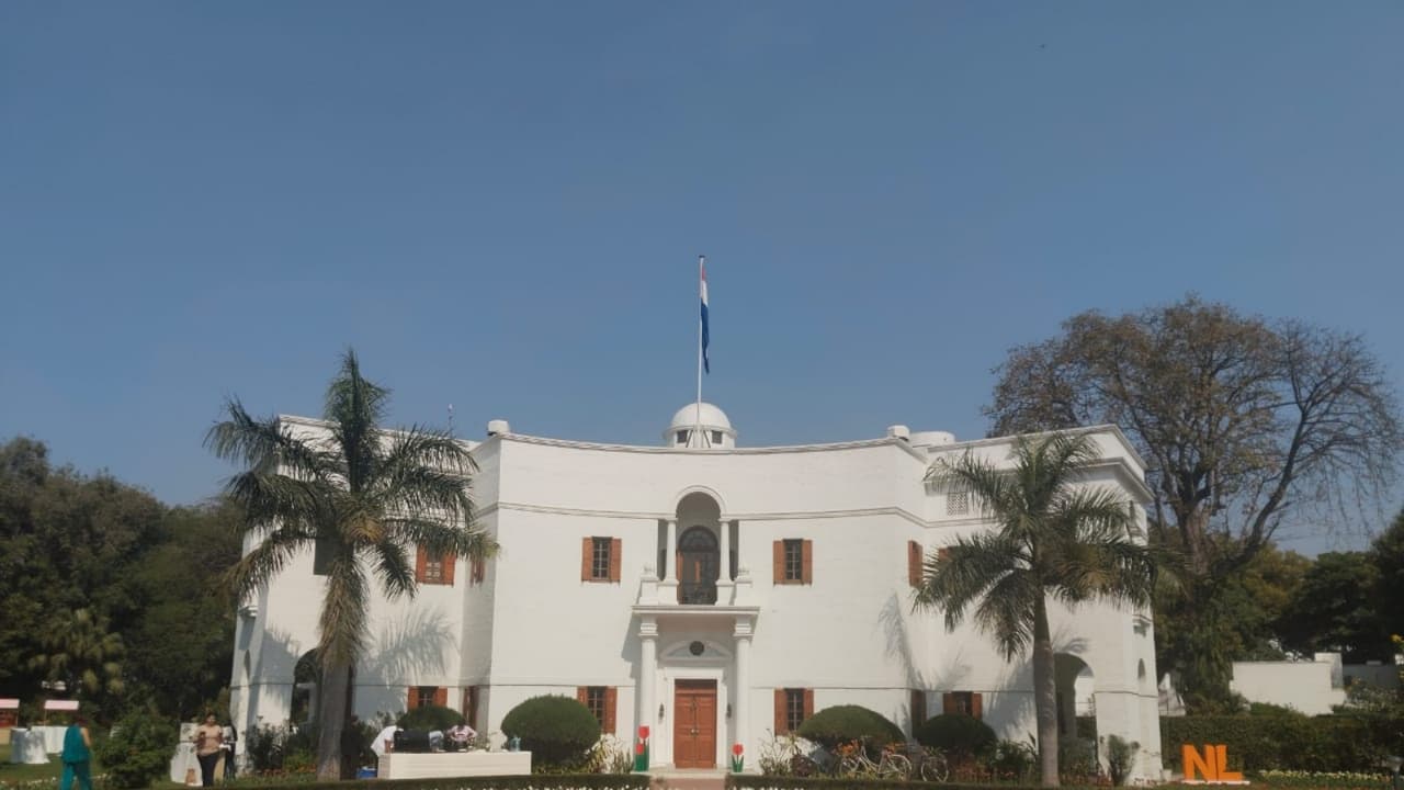 Delhi's Keukenhof: 50,000 Tulips Bloom at Netherlands Residence