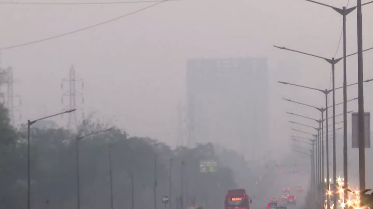 Mumbai wakes up to dense fog, 'satisfactory' air quality on Sunday